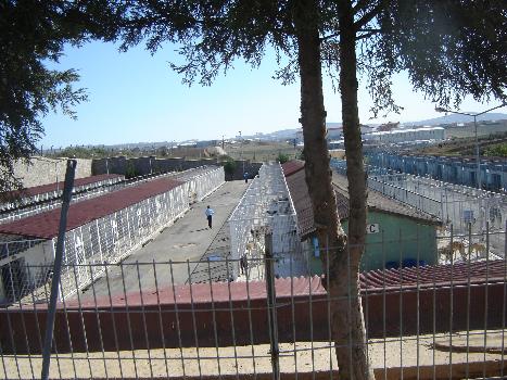 HAYVAN BARINAKLARINA ZİYARET